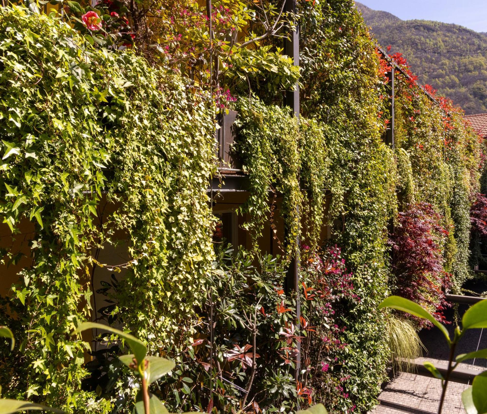 Residence Casa Coppa Appartamento Ivy Omegna Eksteriør bilde
